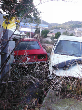 Illustration for article titled It is not over yet: Abandoned cars part 4